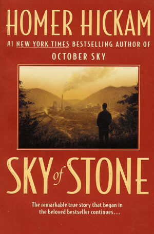 Sky of Stone (Paperback)